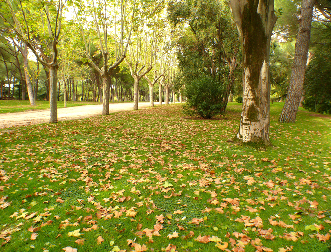 Parque de San Isidro de Madrid