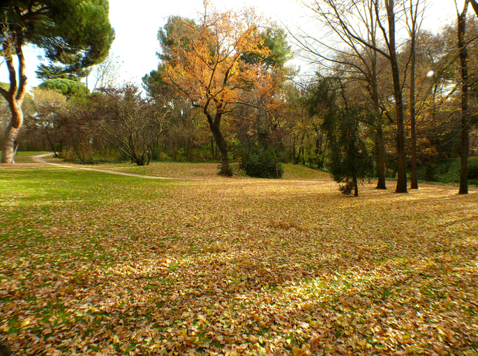 Visitar el Parque del Oeste en Madrid