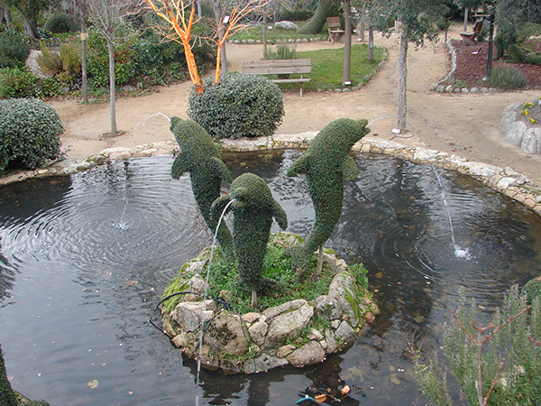 Conoce El Bosque Encantado