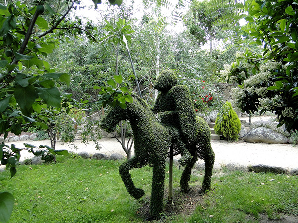 Visitar el bosque encantado