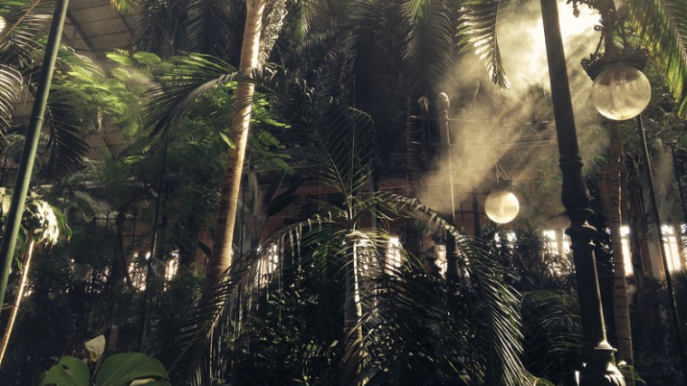 Cómo es el jardín tropical de Atocha