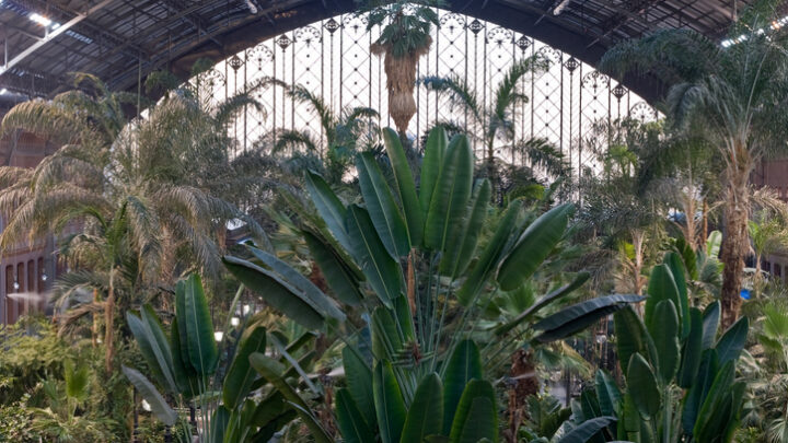 El Jardín tropical de Atocha