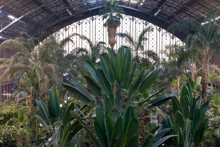 El Jardín tropical de Atocha