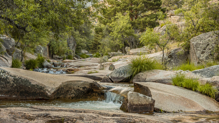 ¿Cuáles son los Espacios Naturales Protegidos de Madrid?