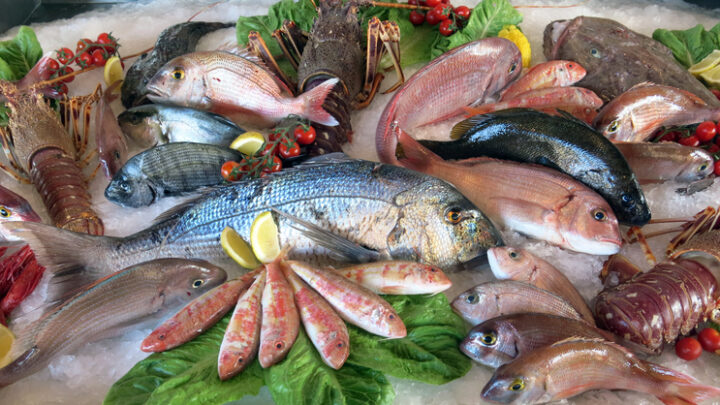 Top 5 de las mejores pescaderías de Madrid
