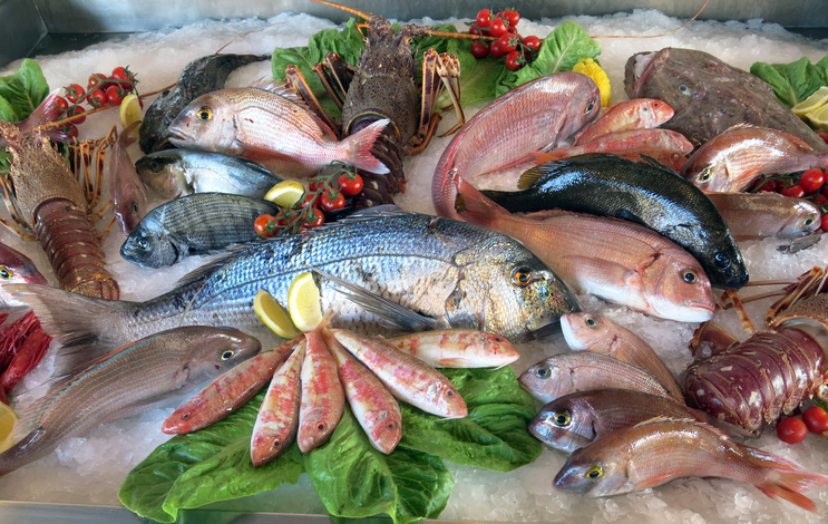 Top 5 de las mejores pescaderías de Madrid