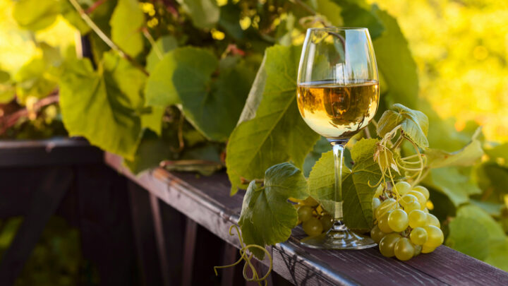Descubre el Exquisito Vino Blanco Albillo Real en la Sierra de Gredos