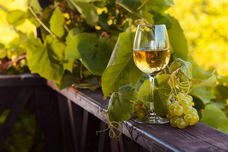 Descubre el Exquisito Vino Blanco Albillo Real en la Sierra de Gredos