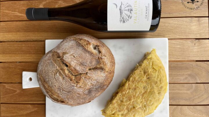 El arte de la cata de vinos una guía para principiantes